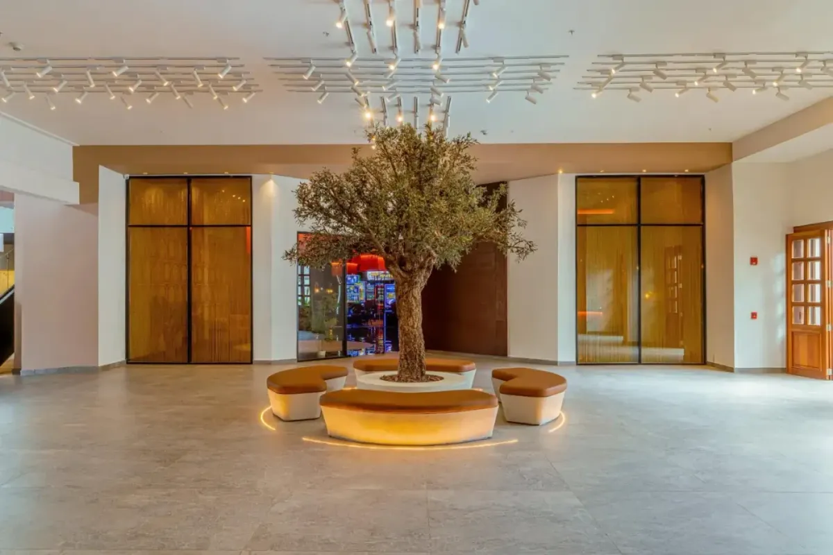 Lobby del Santo Domingo Bay con el olivo central